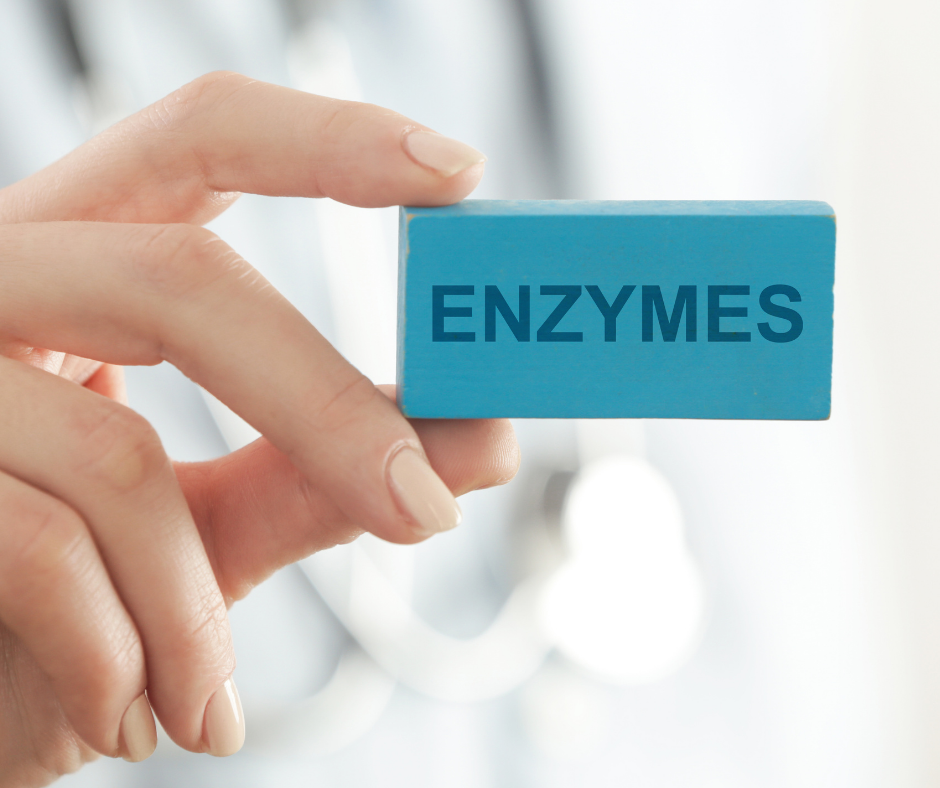 Model holding a blue box that has enzymes written on ir